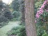 Looking back from the greenhouse